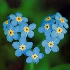 Meet your Posher, Sus